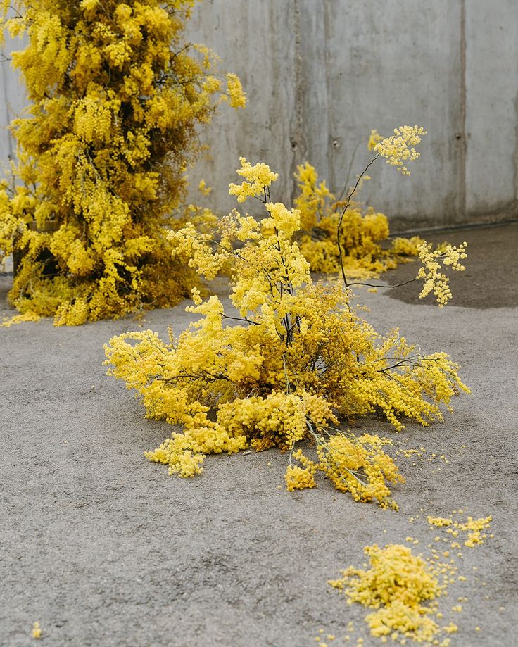 Citrine Yellow — tendance mariage 2026